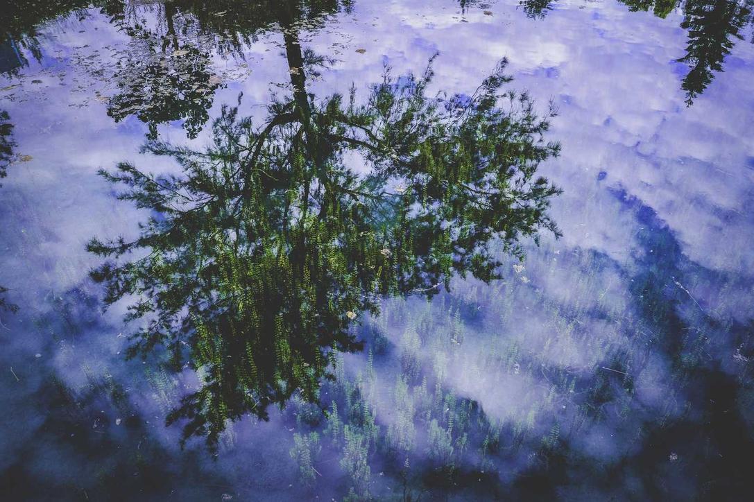 Asperiores praesentium atque commodi non beatae