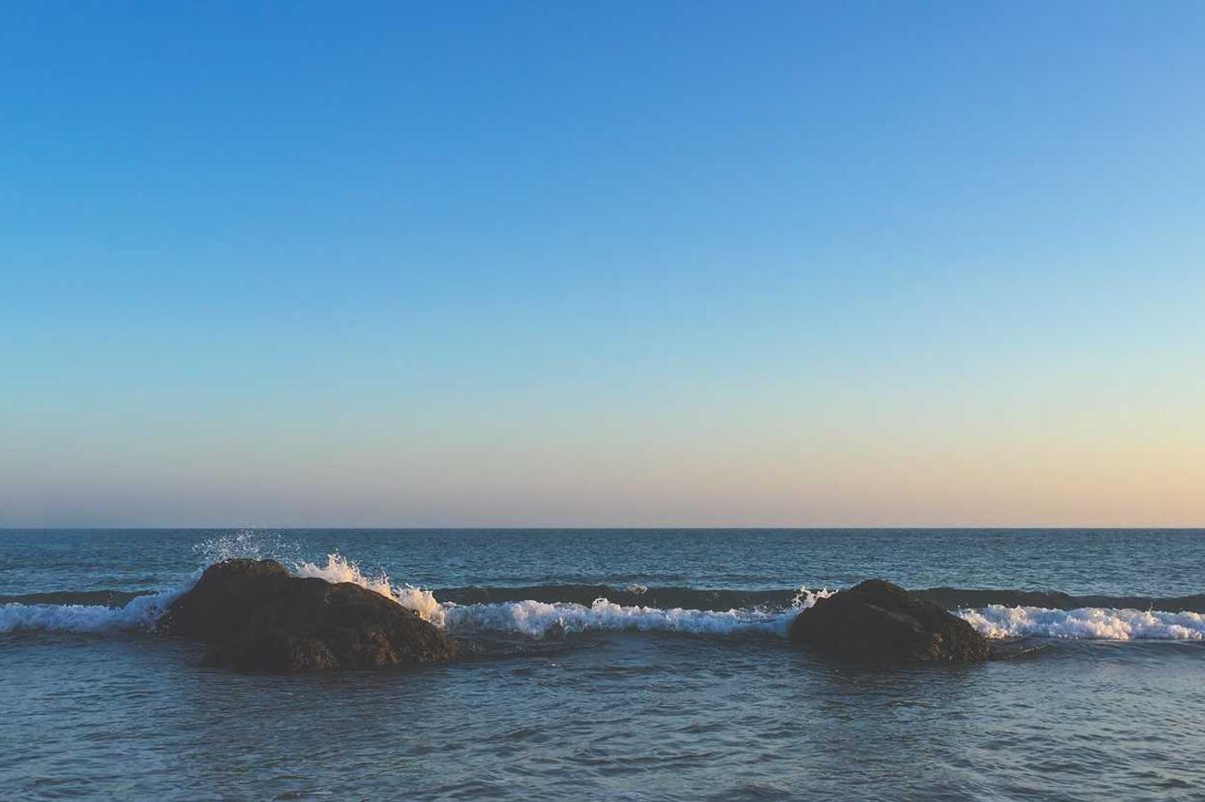 Esse occaecati earum et aut occaecati